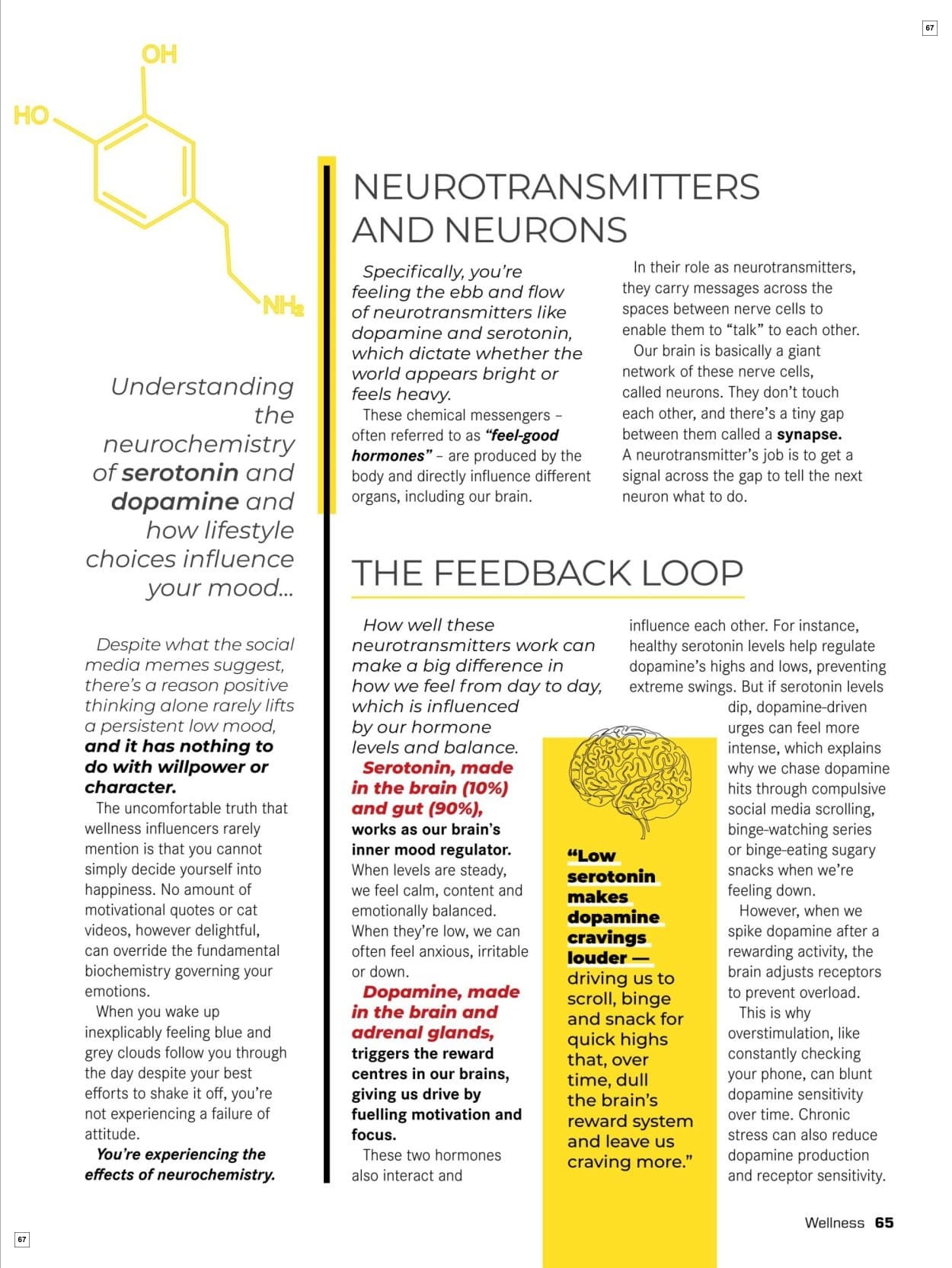 Dis-chem Catalogue - Page 67