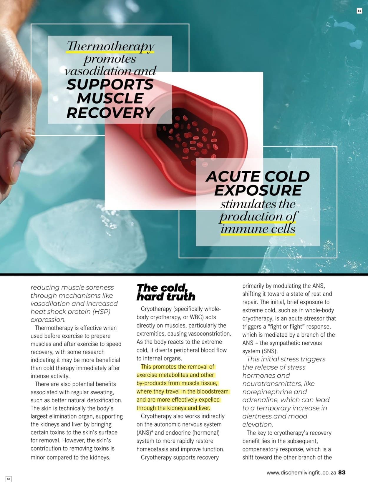 Dis-chem Catalogue - Page 85